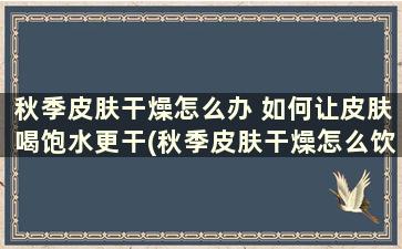 秋季皮肤干燥怎么办 如何让皮肤喝饱水更干(秋季皮肤干燥怎么饮食)